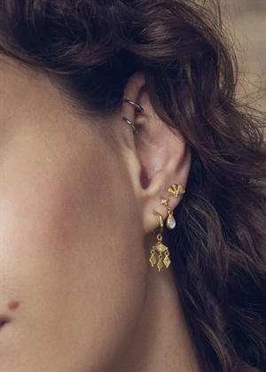 Poco earrings Forgyldt Maanesten